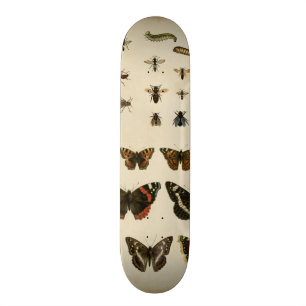 Garteninsekten von Vision Studio Skateboard