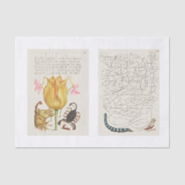 Garteninsektenkalligrafie Seidenpapier