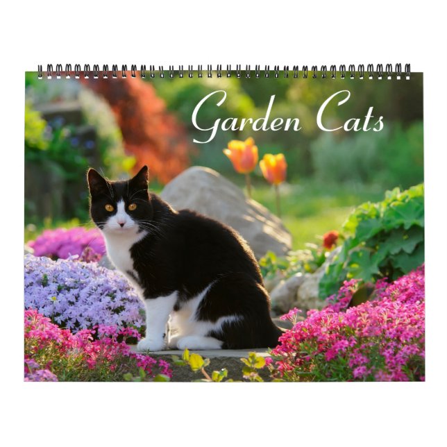 Gartenkatzen - groß kalender (Titelbild)