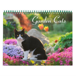 Gartenkatzen - mittelgroß kalender