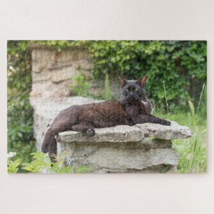 Gartenkatzenpuzzle Puzzle