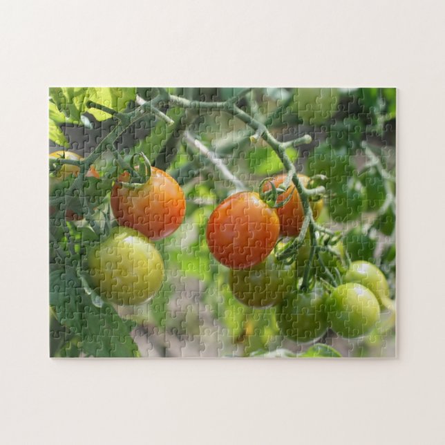 Gartenkirschtomaten Natur Puzzle (Horizontal)