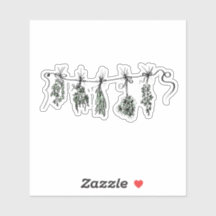 Gartenkräuter botanische Pflanze zeichnend