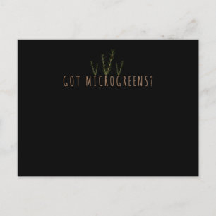 Gartenkräuterkleinerer Grüntöne Postkarte