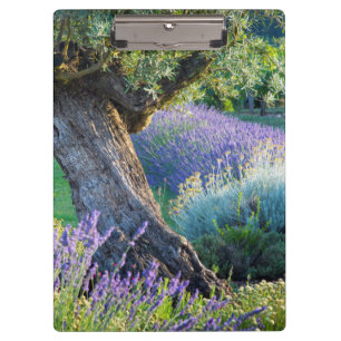 Gartenlandschaft mit Blumen, Frankreich Klemmbrett