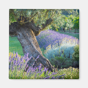 Gartenlandschaft mit Blumen, Frankreich Magnet
