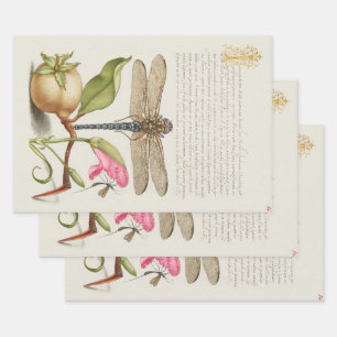 Gartenleben, Libelle, Birne, Nelke und Insekt Geschenkpapier Set