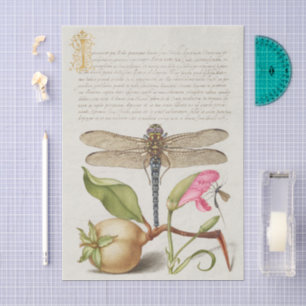 Gartenleben, Libelle, Birne, Nelke und Insekt Seidenpapier