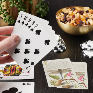 Gartenleben, Libelle, Birne, Nelke und Insekt Spielkarten