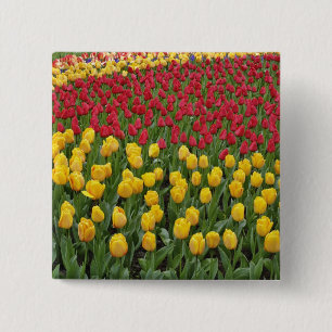 Gartenmuster aus Tulpen, Keukenhof-Gärten, 2 Button