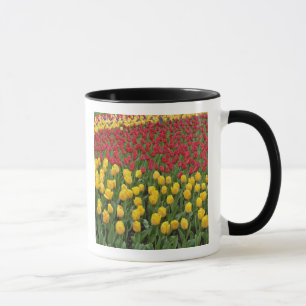 Gartenmuster aus Tulpen, Keukenhof-Gärten, 2 Tasse