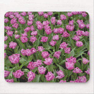 Gartenmuster aus Tulpen, Keukenhof-Gärten, Mousepad