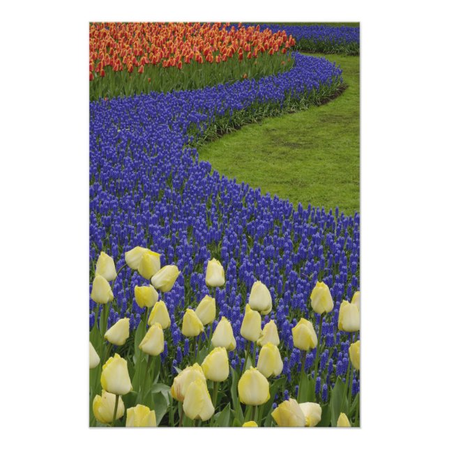 Gartenmuster der Blume und 2 Fotodruck (Vorne)