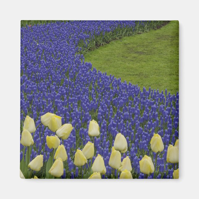 Gartenmuster der Blume und 2 Magnet (Vorne)