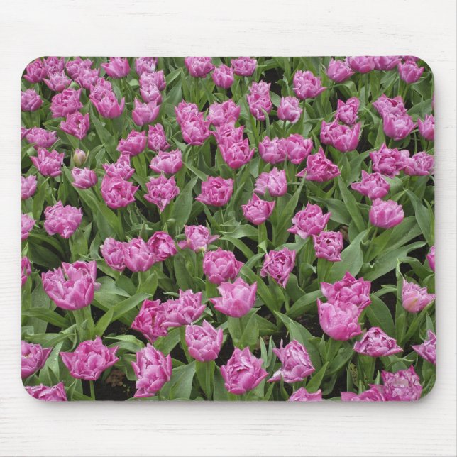 Gartenmuster der Tulpen, Keukenhof Gardens, Mousepad (Vorne)