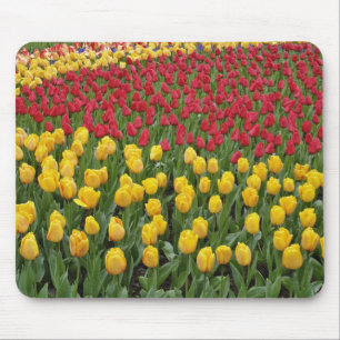 Gartenmuster Tulpen, Keukenhof Gardens, 2 Mousepad