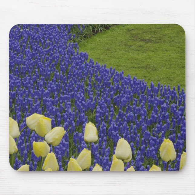 Gartenmuster von Blume und 2 Mousepad (Vorne)