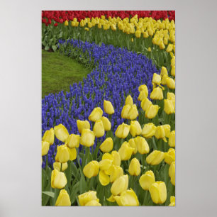 Gartenmuster von Blume und Poster
