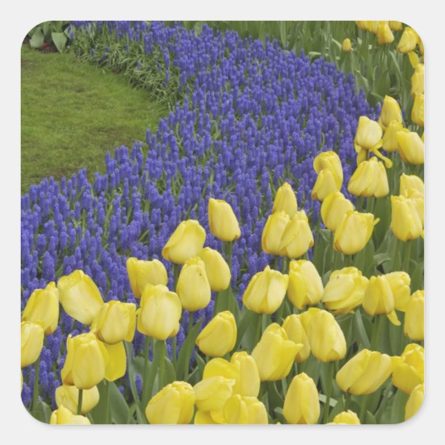 Gartenmuster von Blume und Quadratischer Aufkleber (Vorderseite)