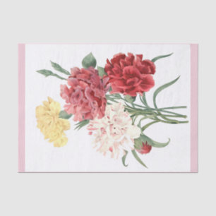 Gartennelken-Blumenstrauß 15" x 10" Seidenpapier