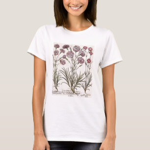 Gartennelken: flore 1.Caryophyllus majore; 2. T-Shirt