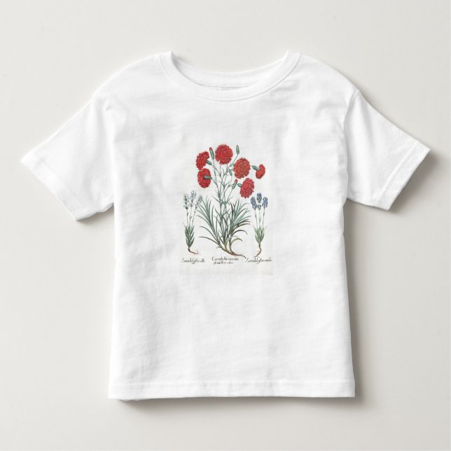 Gartennelken und Lavendel: 1.Caryophyllus maximus Kleinkind T-shirt (Vorderseite)
