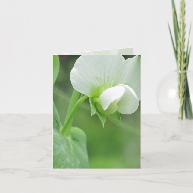 Gartennotecard für jeden Anlass Karte (Vorderseite)