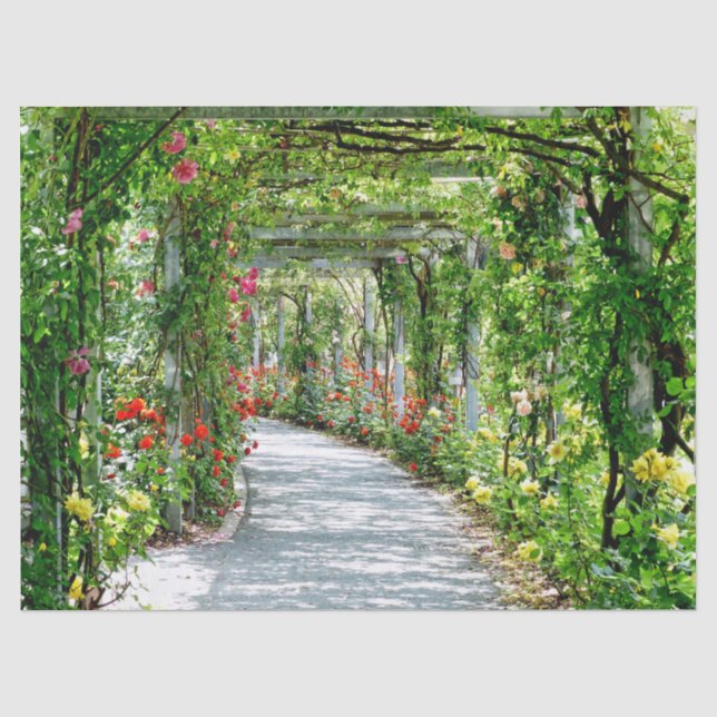 Gartenpflasterpapier Seidenpapier (Vorderseite)