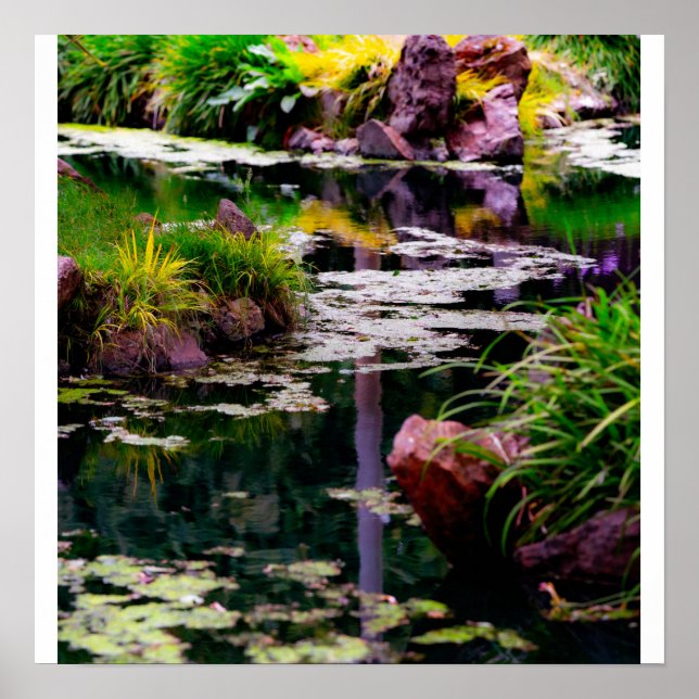 Gartenreflexionen Poster (Vorne)