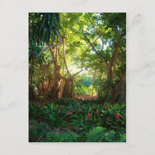 Gartenruhe Postkarte