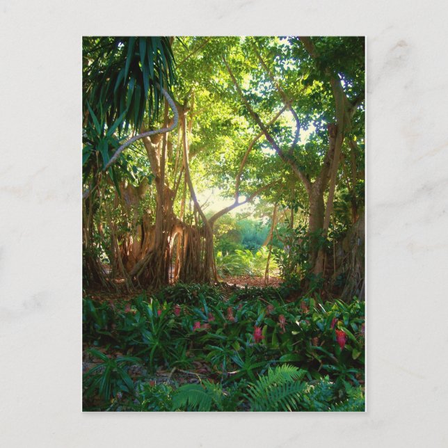 Gartenruhe Postkarte (Vorderseite)