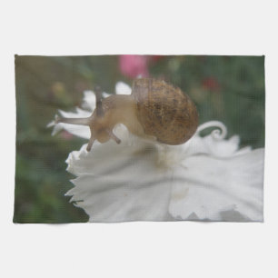 Gartenschnecke und Weißkarnation Küchentücher