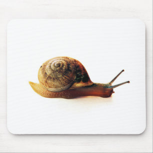 Gartenschnecken-Naturfotografie Mousepad
