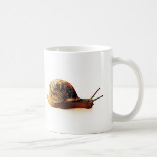 Gartenschnecken-Naturfotografie Tasse