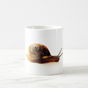 Gartenschnecken-Naturfotografie Tasse