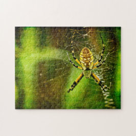 Gartenspinne Puzzle