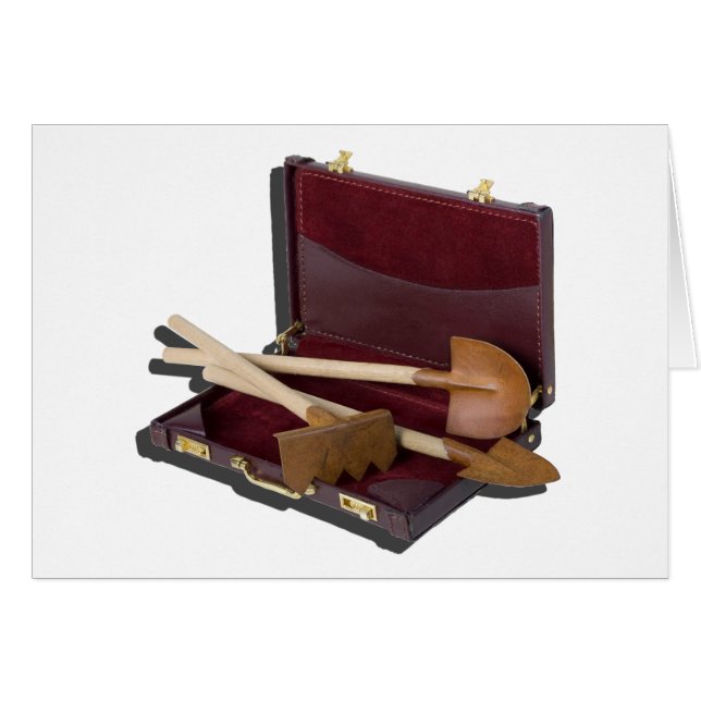 GartenToolsBriefcase012915.png (Vorderseite (Horizontal))