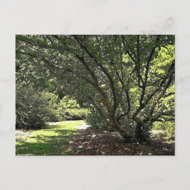 Gartenweg von Mark Edward Westerfield Postkarte (Vorderseite)