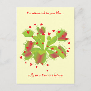 Gärtner in der Liebe Postkarte