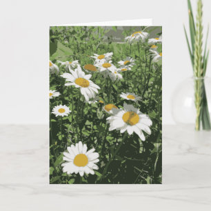 Gärtnerei mit Blumen, weiß und gelb Karte