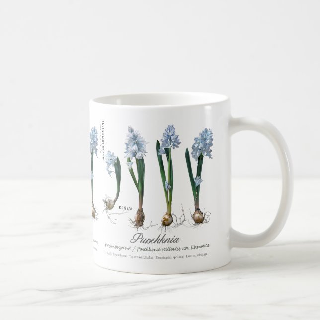 Gärtners Café Kaffeetasse (Rechts)