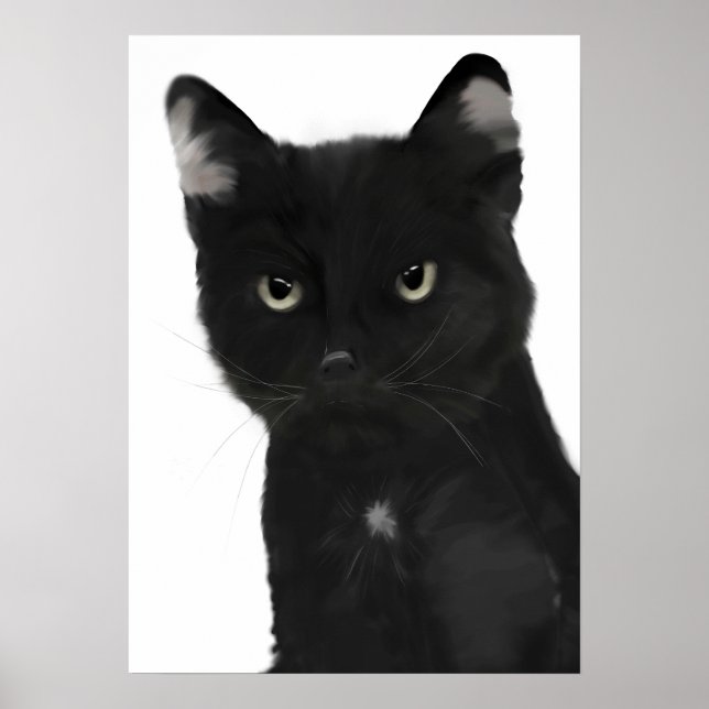 Gary die schwarze Katze Poster (Vorne)