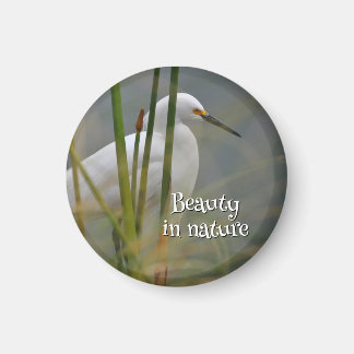 Garza blanca magnet