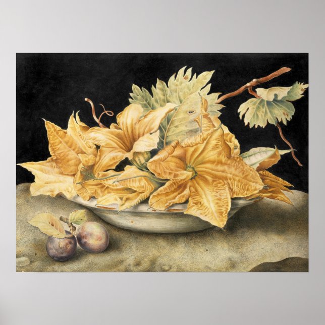 Garzoni - Stillleben mit Pumpkin-Blume und Wein Poster (Vorne)