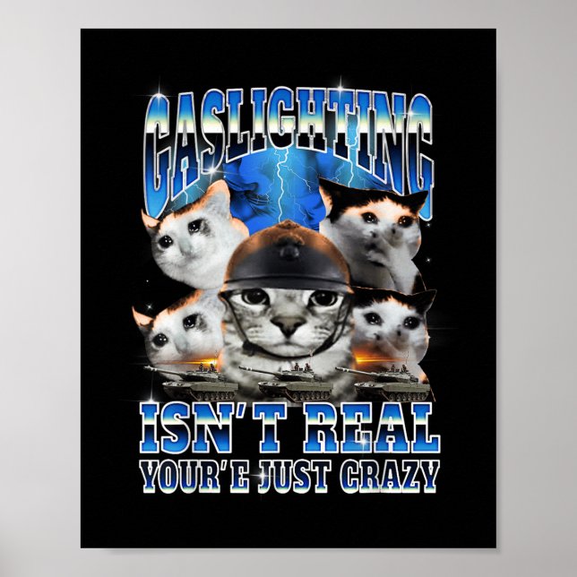 Gaslighting Isn't Real Funny Cat Meme Bootleg Poster (Vorne)