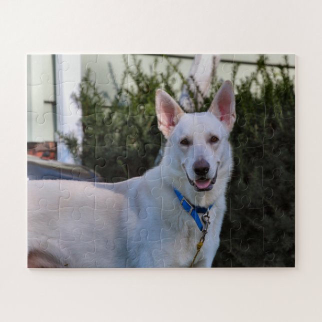 Gast Puzzle (Horizontal)