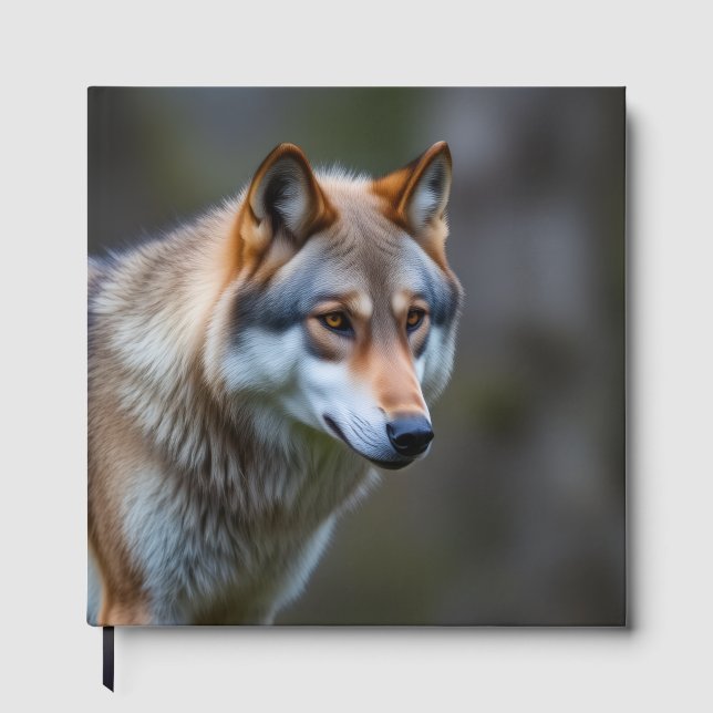 Gästebuch  (Vorderseite)