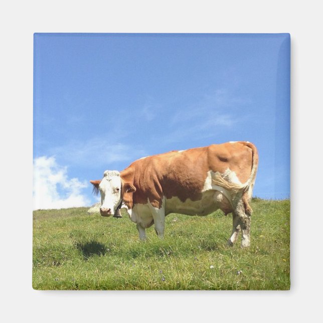 Gästehaus Fernerblick - Kuhmagnet Magnet (Vorne)