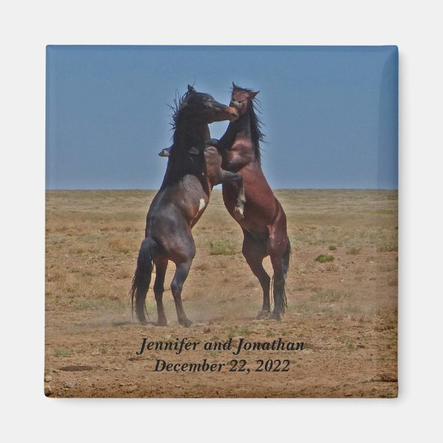 Gastgeschenk zum Tanzpferd Magnet (Vorne)