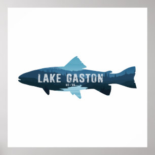 Gaston Lake North Carolina Virginia Fisch Poster